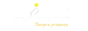 logo_mediacommerce